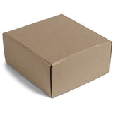 PG-AM-404-B-02-NO-LOGO