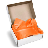 PG-AM-415-B-O-01-NO-LOGO