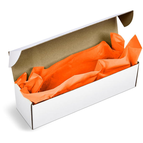 PG-AM-415-B-O-02-NO-LOGO