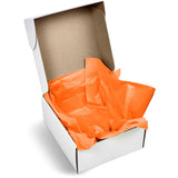 PG-AM-415-B-O-04-NO-LOGO