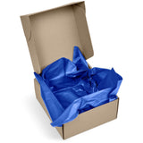 PG-AM-415-BU-PG-AM-404-B-NO-LOGO