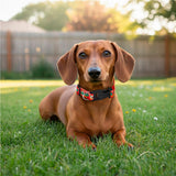 SG-HP-184-G_LIFESTYLE_AI